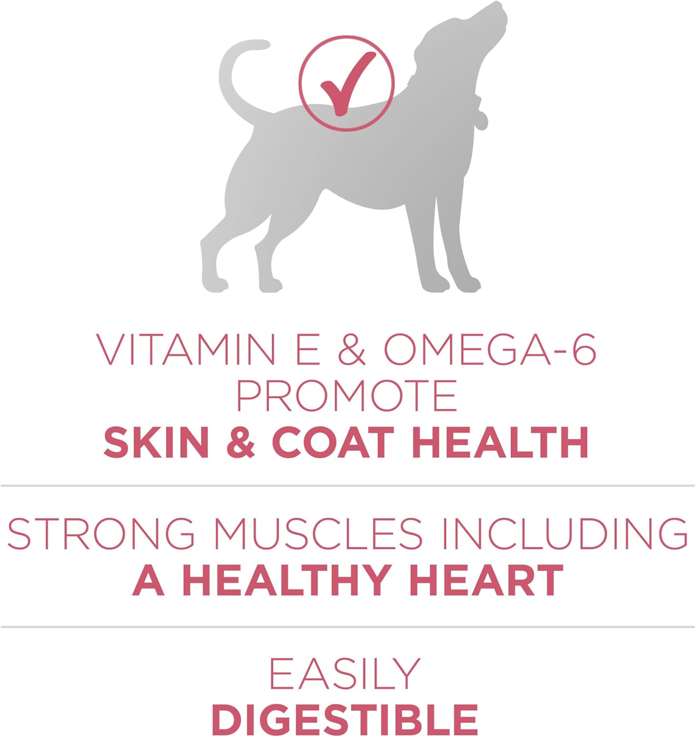 Purina ONE Natural, Sensitive Stomach Dry Dog Food, +Plus Skin & Coat Formula - 31.1 lb. Bag4
