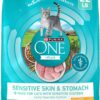 Purina ONE Sensitive Stomach, Sensitive Skin, Natural Dry Cat Food, +Plus Sensitive Skin and Stomach Formula - 22 lb. Bag
