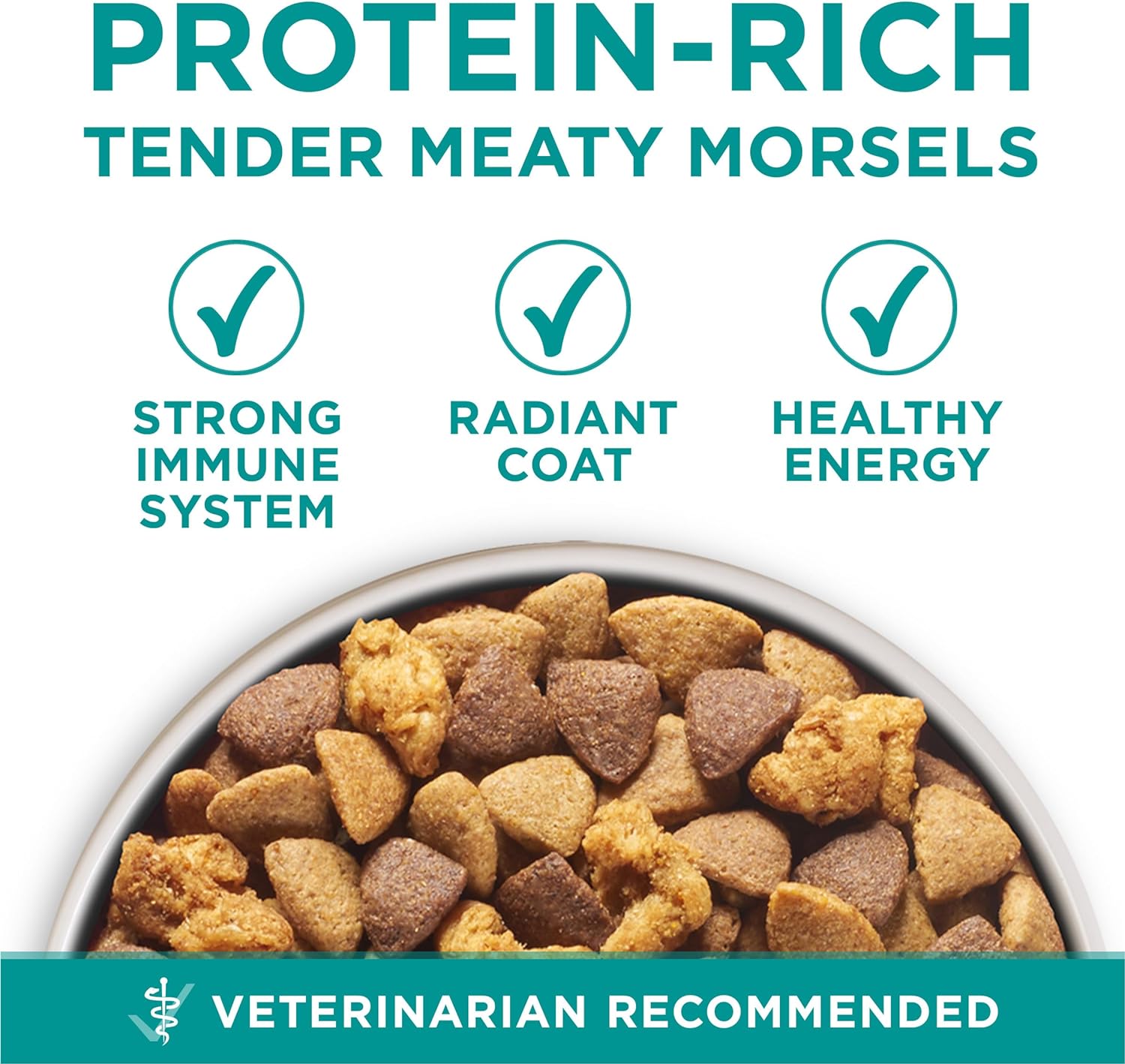 Purina One Plus Digestive Health Formula Dry Dog Food Natural with Added Vitamins, Minerals and Nutrients - 31.1 Lb. Bag1