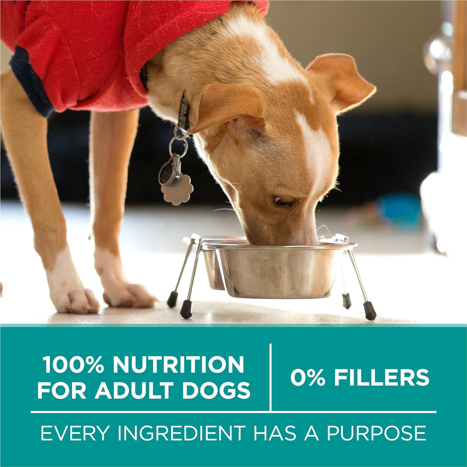 Purina One Plus Digestive Health Formula Dry Dog Food Natural with Added Vitamins, Minerals and Nutrients - 31.1 Lb. Bag8