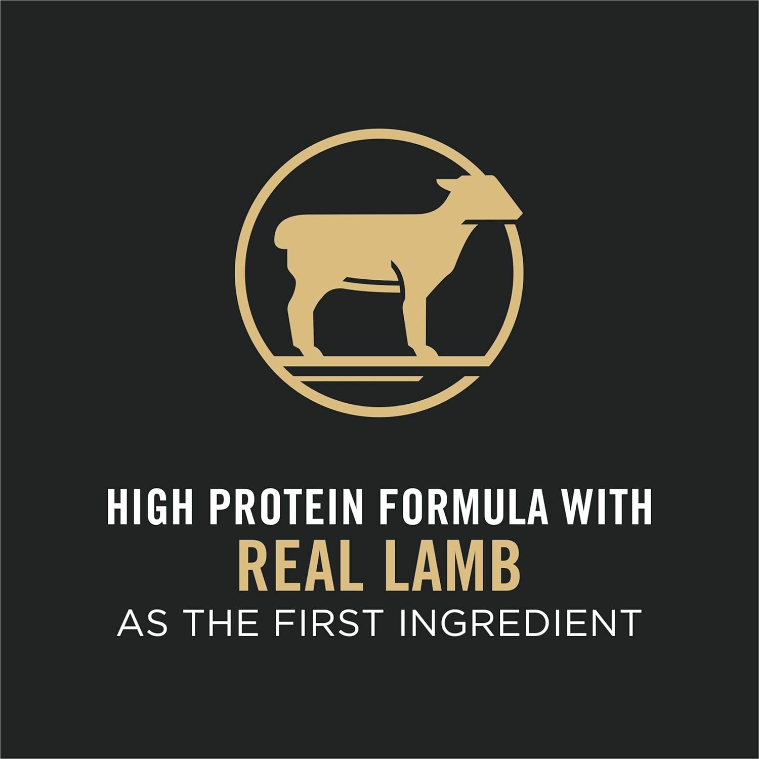 Purina Pro Plan High Protein, Small Bites Dog Food, SPORT 27 17 Lamb & Rice Formula - 18 lb. Bag3
