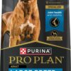 Purina Pro Plan Large Breed Dry High Protein Dog Food with Probiotics for Dogs, Beef and Rice Formula - 34 lb. Bag