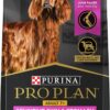 Purina Pro Plan Sensitive Skin and Stomach Dry Dog Food Senior Adult 7 Plus Salmon and Rice Formula - 24 lb. Bag