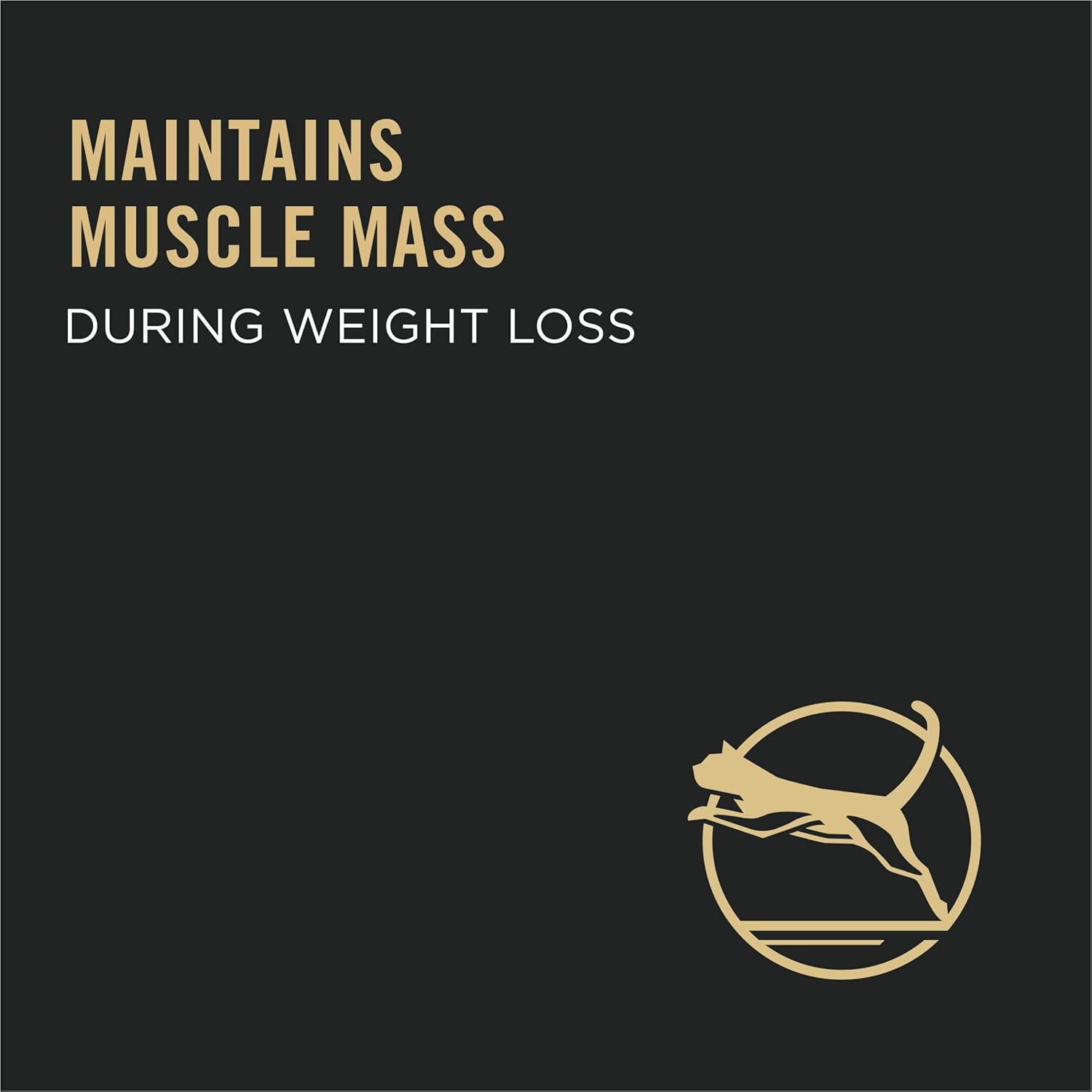 Purina Pro Plan Weight Control Dry Cat Food, Chicken and Rice Formula - 16 lb. Bag1