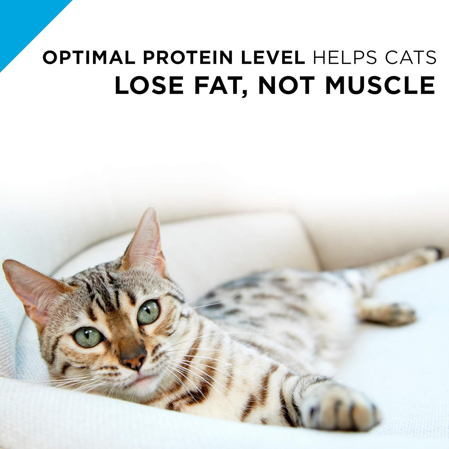 Purina Pro Plan Weight Control Pate Wet Cat Food, SPECIALIZED Weight Management Turkey & Rice Entree - (Pack of 24) 3 oz. Pull-Top Cans11