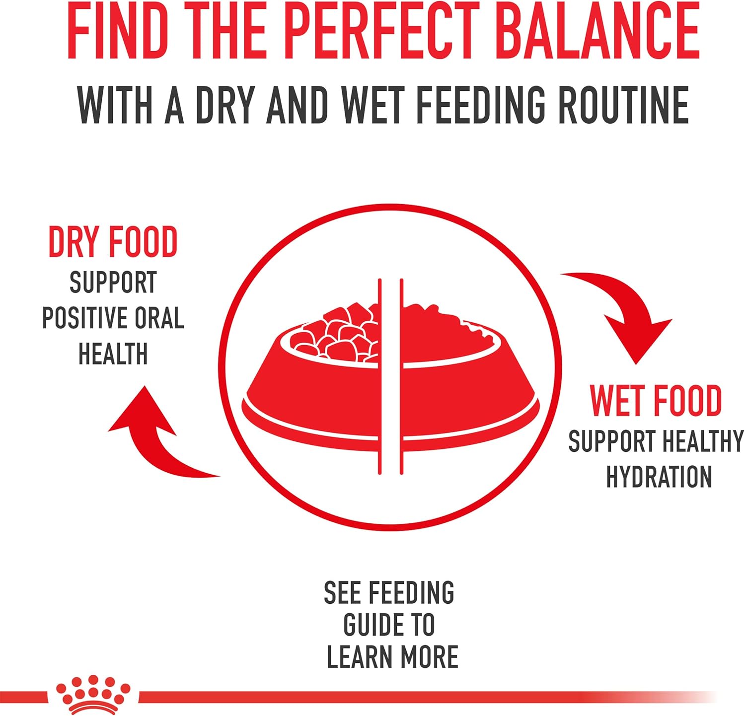 Royal Canin Adult Feline Health Nutrition Instinctive Thin Slices in Gravy Canned Wet Cat Food, 3 oz can (24-count)5
