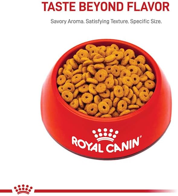 Royal Canin Appetite Control Spayed Neutered Dry Adult Cat Food, 6 lb bag11