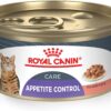 Royal Canin Feline Care Nutrition Appetite Control Thin Slices in Gravy Wet Cat Food, 3 oz can (24-count)