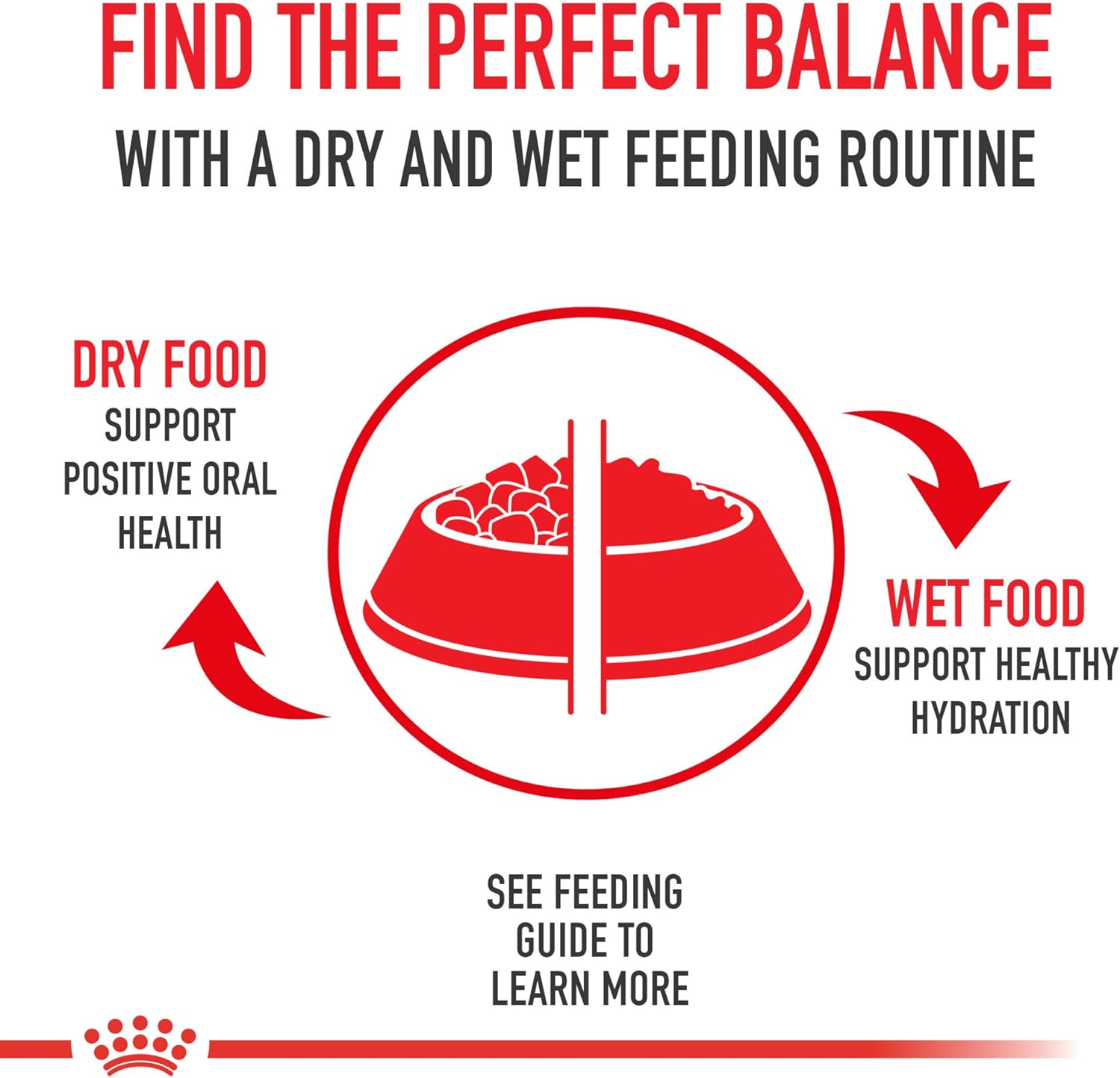 Royal Canin Feline Care Nutrition Appetite Control Thin Slices in Gravy Wet Cat Food, 3 oz can (24-count)8