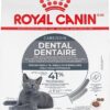 Royal Canin Feline Care Nutrition Dental Care Dry Cat Food, 6 lb bag