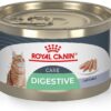 Royal Canin Feline Care Nutrition Digestive Care Loaf in Sauce Canned Cat Food, 5.1 oz can (24-count)