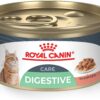 Royal Canin Feline Digestive Care Thin Slices in Gravy Wet Cat Food, 3 oz can (24-count)