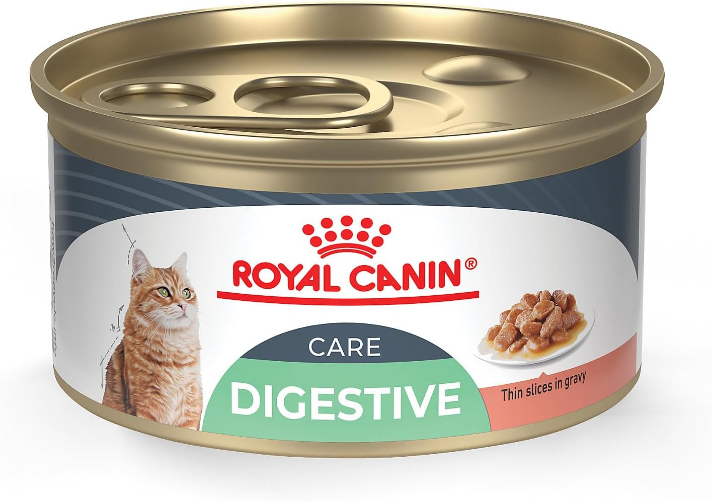 Royal Canin Feline Digestive Care Thin Slices in Gravy Wet Cat Food, 3 oz can (24-count) Royal Canin Feline Digestive Care Thin Slices in Gravy Wet Cat Food, 3 oz can (24-count)
