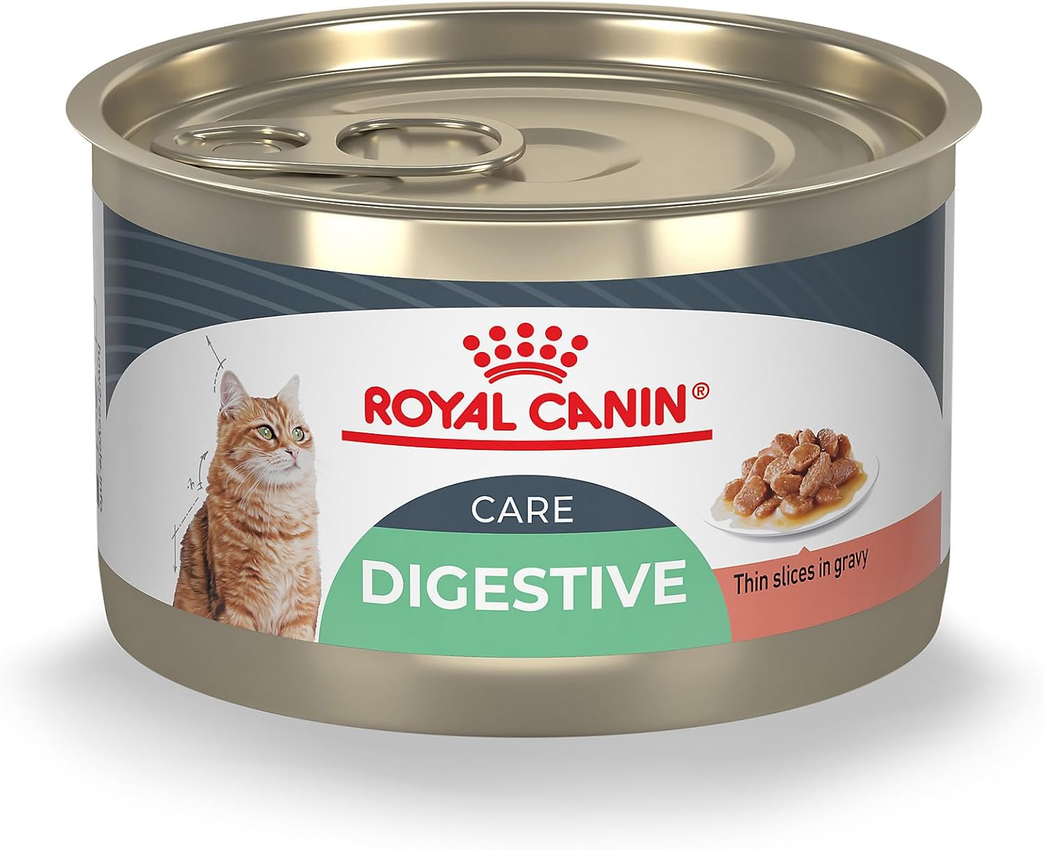 Royal Canin Feline Digestive Care Thin Slices in Gravy Wet Cat Food, 5.1 oz can (24-Count) Royal Canin Feline Digestive Care Thin Slices in Gravy Wet Cat Food, 5.1 oz can (24-Count)