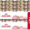 Royal Canin Feline Health Nutrition Kitten Loaf in Sauce Canned Cat Food, 3 oz can (Pack of 24)