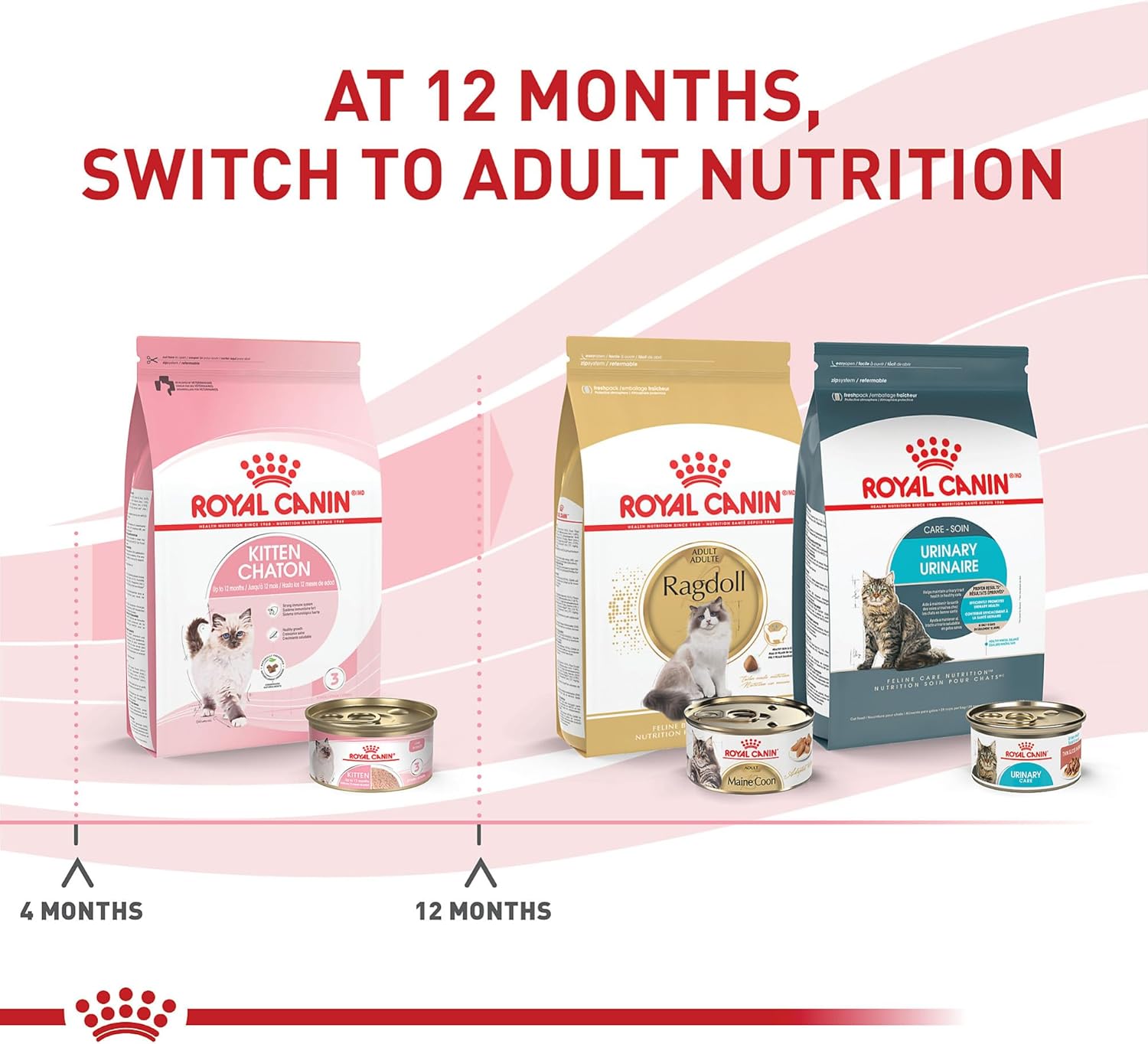 Royal Canin Feline Health Nutrition Kitten Loaf in Sauce Canned Cat Food, 3 oz can (Pack of 24)1