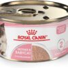 Royal Canin Feline Health Nutrition Mother & Babycat Ultra Soft Mousse in Sauce Canned Cat Food, 3 oz can (24-count)