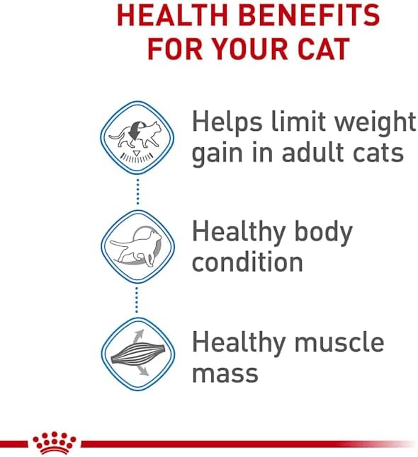 Royal Canin Feline Weight Care Adult Dry Cat Food, 6 lb bag5