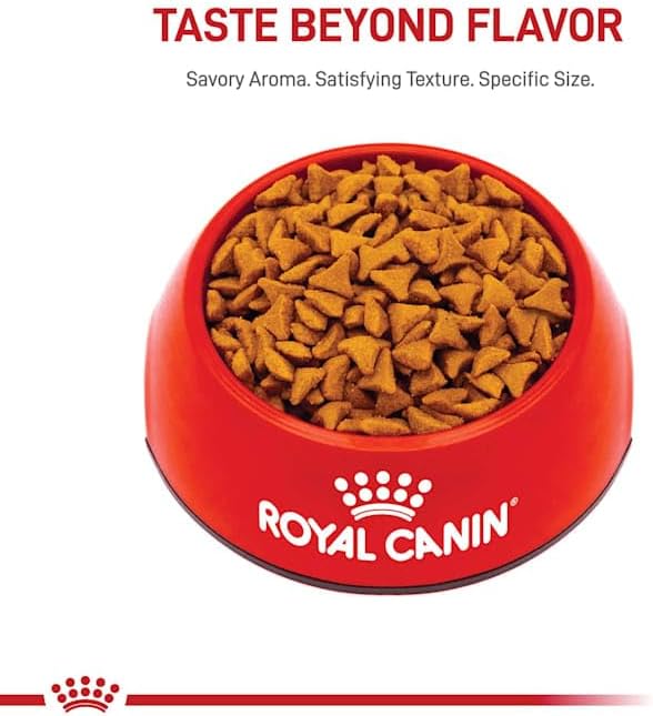 Royal Canin Hairball Care Dry Cat Food, 6 lb bag11