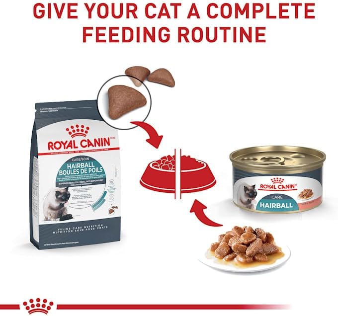 Royal Canin Hairball Care Dry Cat Food, 6 lb bag13