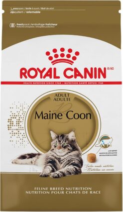 Royal Canin Maine Coon Breed Adult Dry Cat Food, 14 lb bag
