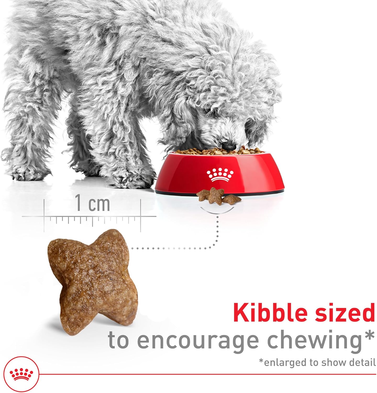 Royal Canin Size Health Nutrition Small Adult Dry Dog Food, 30 lb4