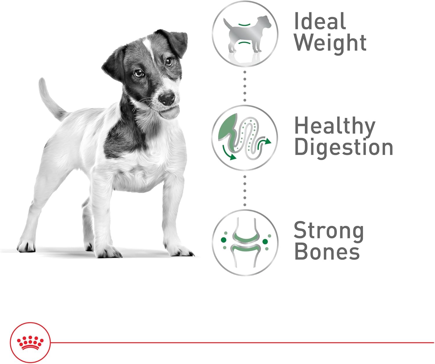 Royal Canin Size Health Nutrition Small Adult Dry Dog Food, 30 lb56