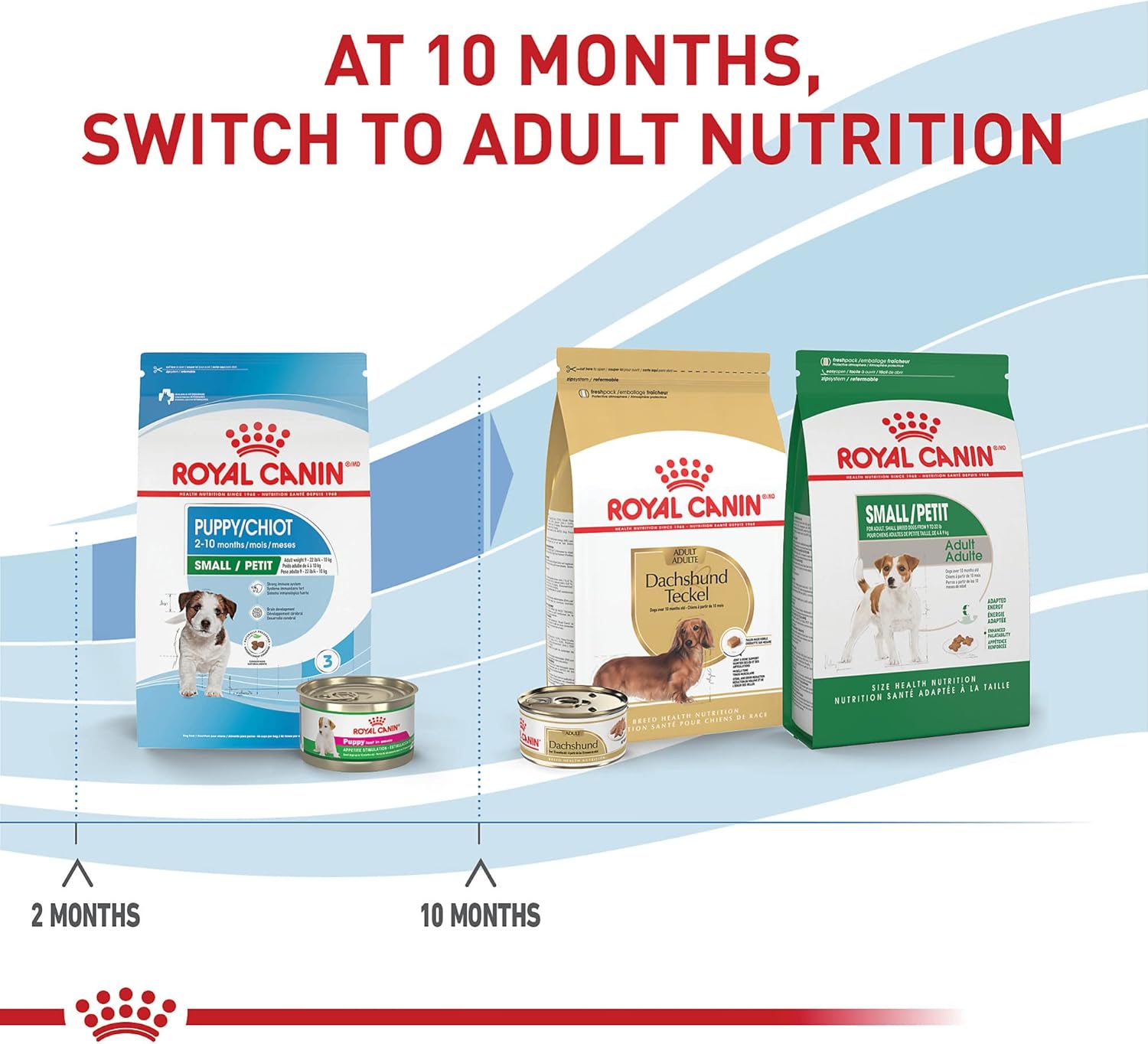Royal Canin Size Health Nutrition Small Breed Dry Puppy Food, Supports Brain Development, Immune Support, and Digestive Health, 14 lb Bag4