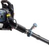 SENIX 4QL 49 cc 4-Cycle Backpack Gas Leaf Blower, Up to 600 CFM and 200 MPH, Variable Speed, Cruise Control, 18N Blowing Force (BLB4QL-M)