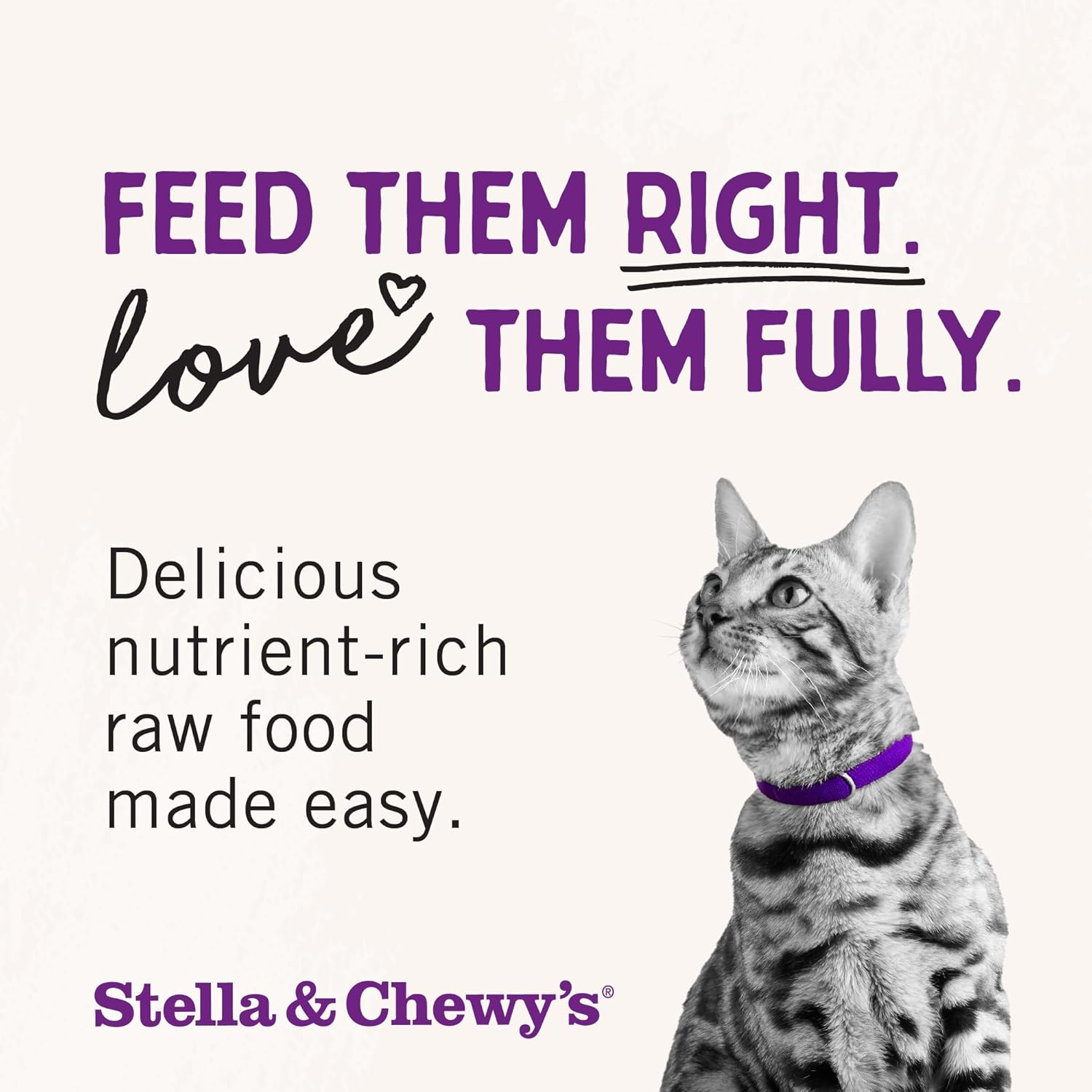 Stella & Chewy's Freeze-Dried Raw Cat Dinner Morsels – Grain Free, Protein Rich Cat & Kitten Food – Duck Duck Goose Recipe – 18 oz Bag11