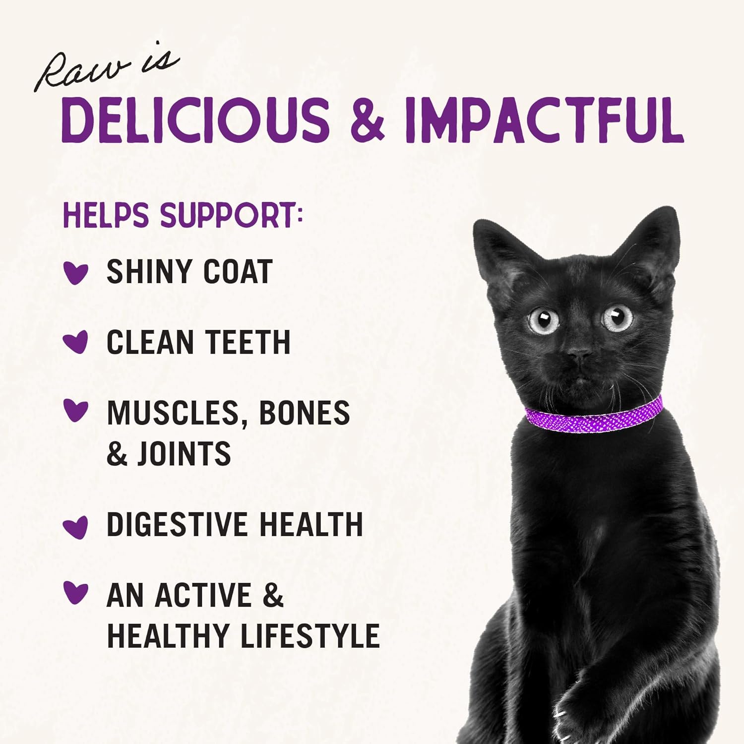 Stella & Chewy's Freeze-Dried Raw Cat Dinner Morsels – Grain Free, Protein Rich Cat & Kitten Food – Duck Duck Goose Recipe – 18 oz Bag5