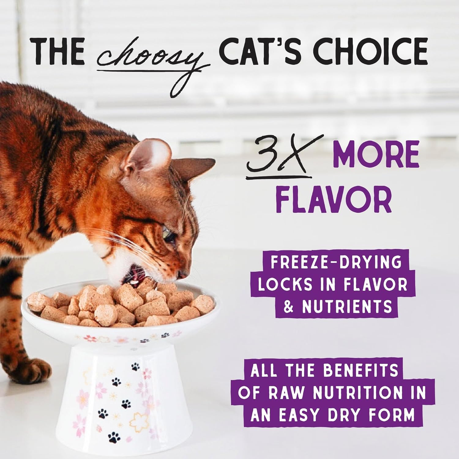 Stella & Chewy's Freeze-Dried Raw Cat Dinner Morsels – Grain Free, Protein Rich Cat & Kitten Food – Duck Duck Goose Recipe – 18 oz Bag7