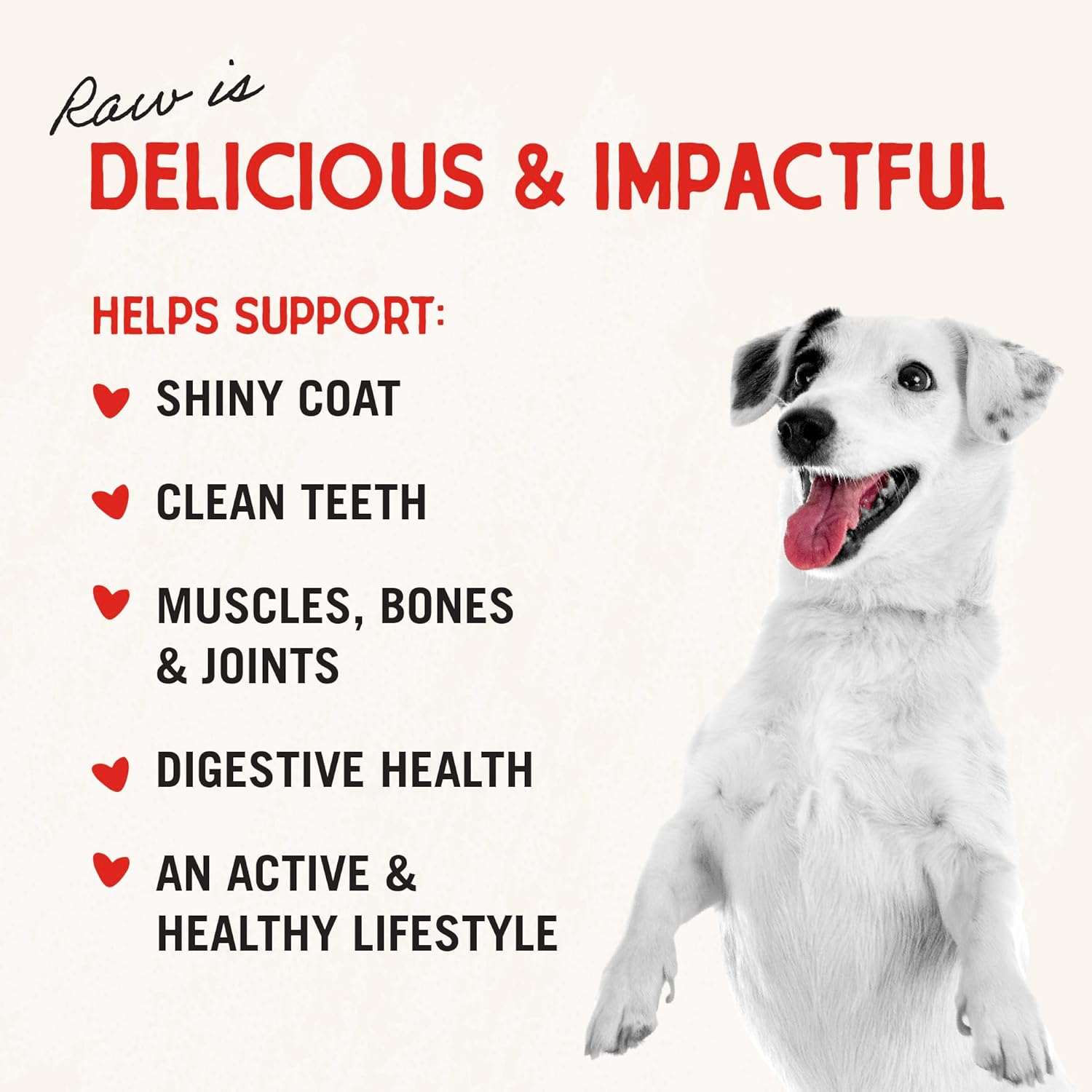 Stella & Chewy's Freeze Dried Raw Dinner Patties – Grain Free Dog Food, Protein Rich Absolutely Rabbit Recipe – 25 oz Bag5