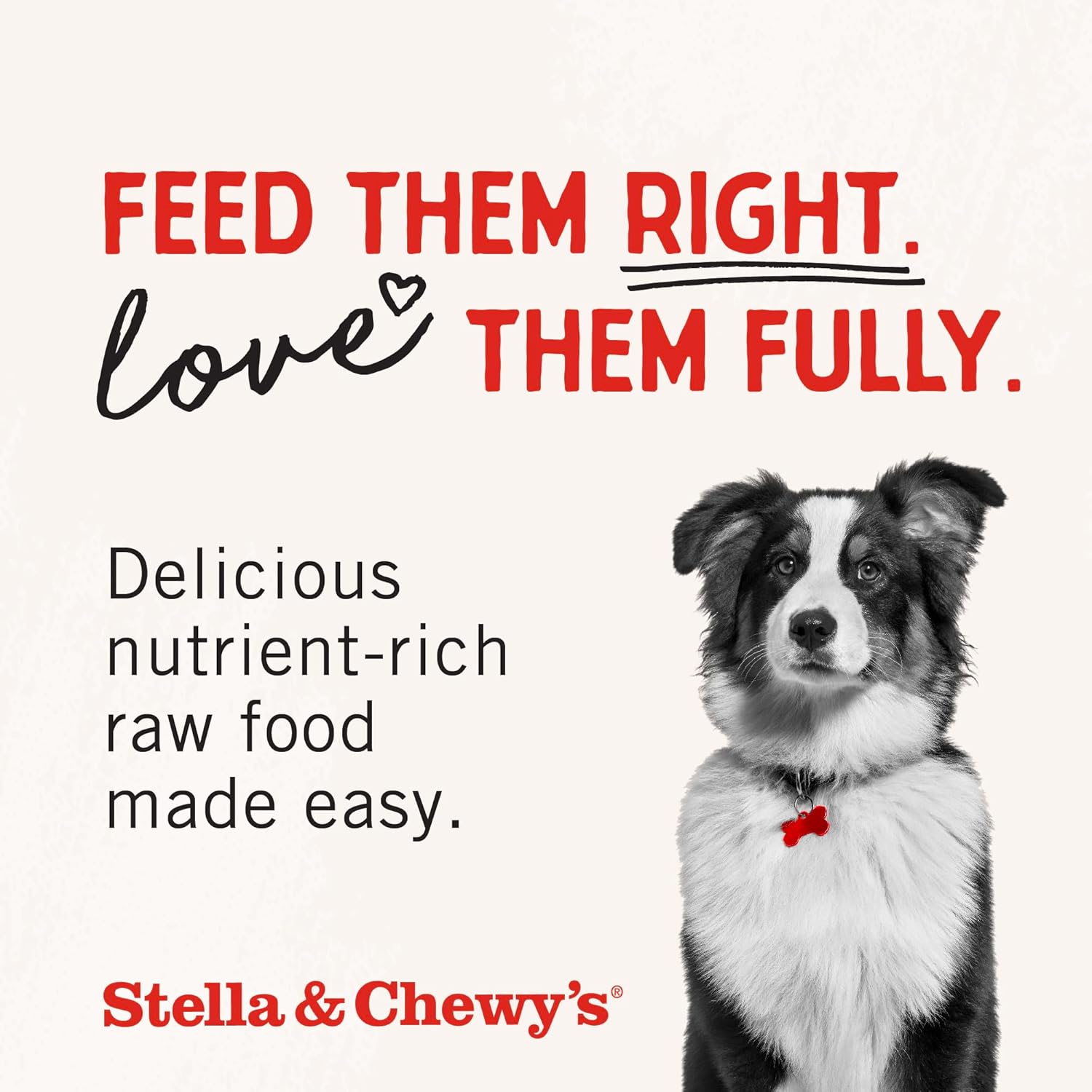Stella & Chewy's Freeze Dried Raw Dinner Patties – Grain Free Dog Food, Protein Rich Duck Duck Goose Recipe – 25 oz Bag0