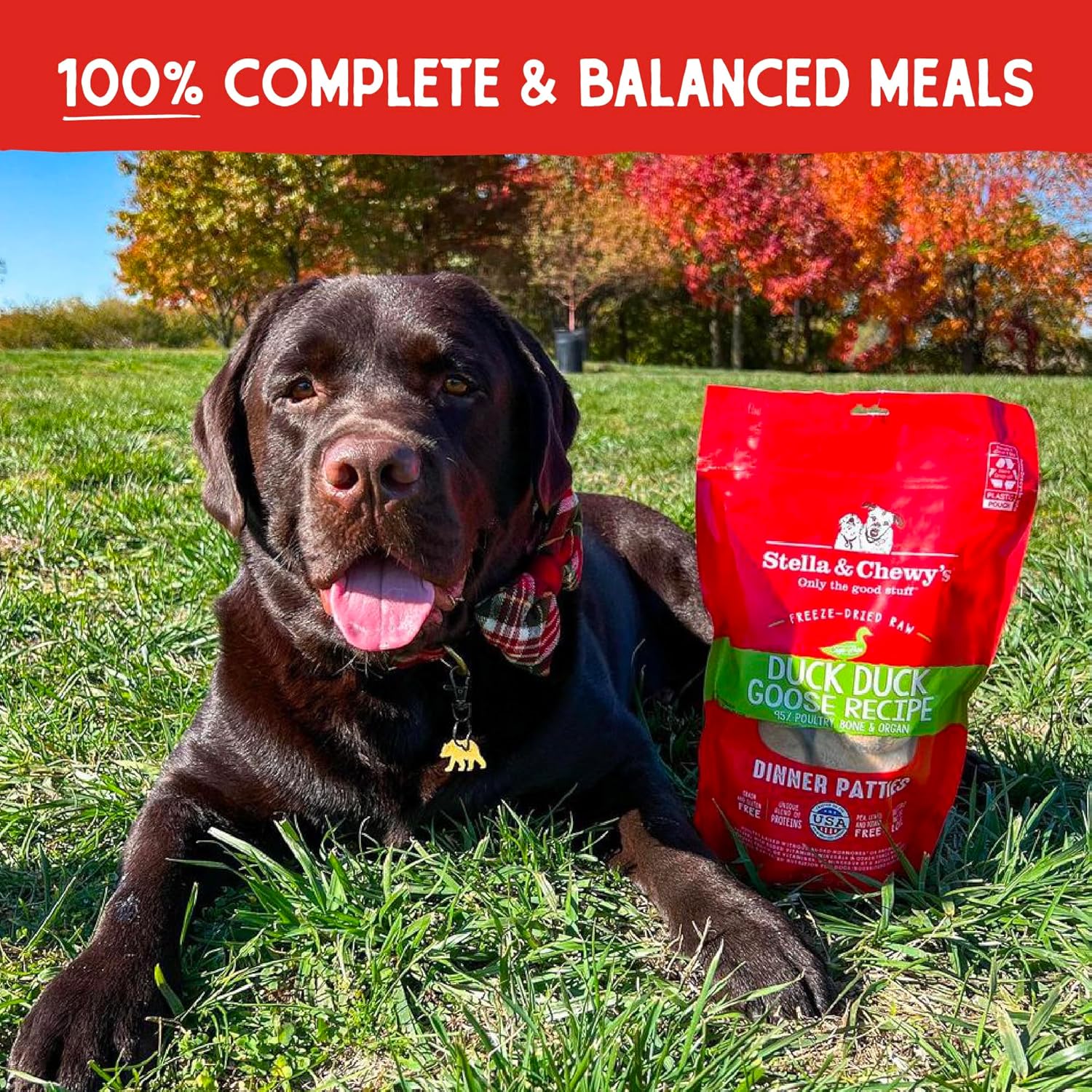 Stella & Chewy's Freeze Dried Raw Dinner Patties – Grain Free Dog Food, Protein Rich Duck Duck Goose Recipe – 25 oz Bag11