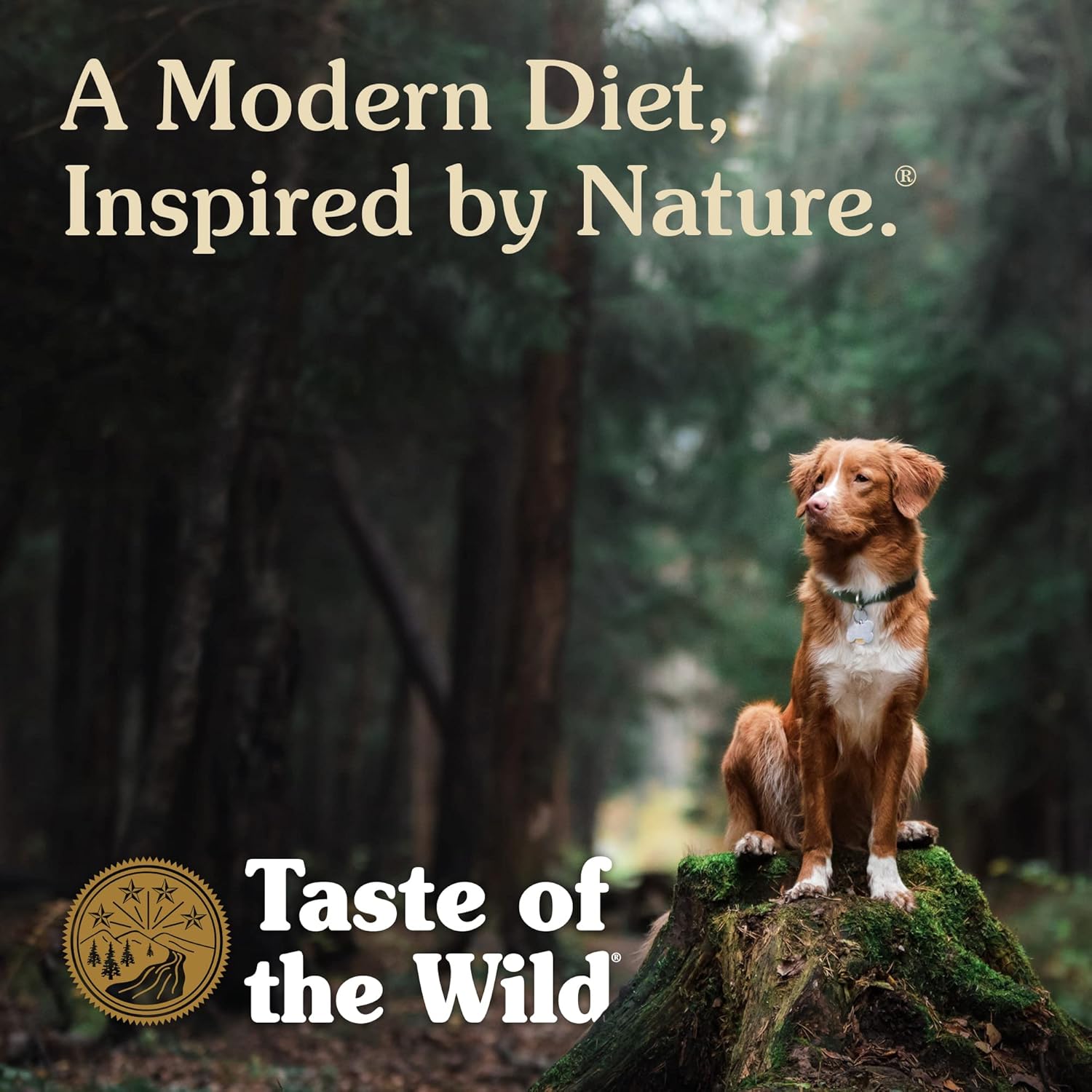 Taste of the Wild Pacific Stream Grain-Free Dry Dog Food with Smoke-Flavored Salmon 28lb7