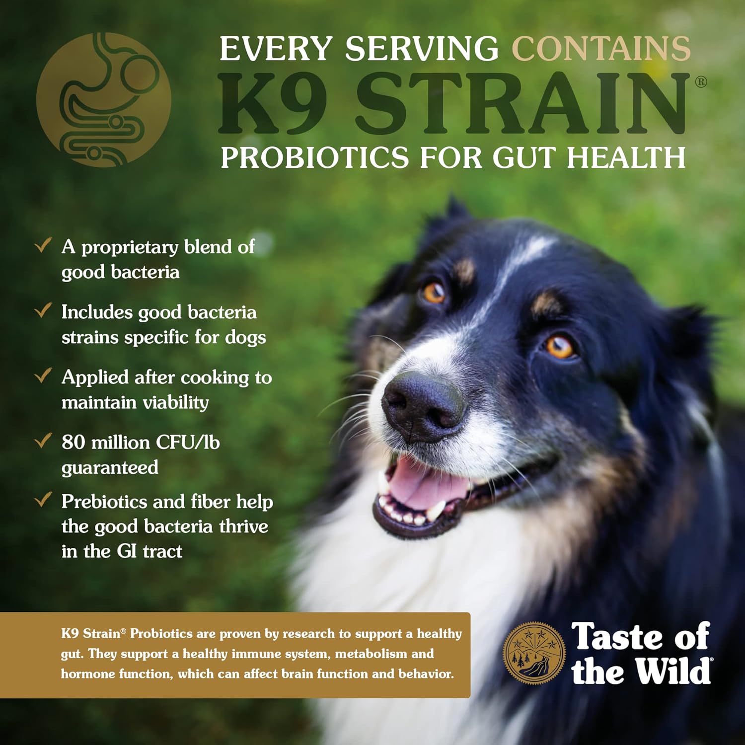Taste of the Wild with Ancient Grains Ancient Mountain Canine Recipe with Roasted Lamb Dry Dog Food, Made with High Protein from Real Lamb and Guaranteed Nutrients and Probiotics 28lb7