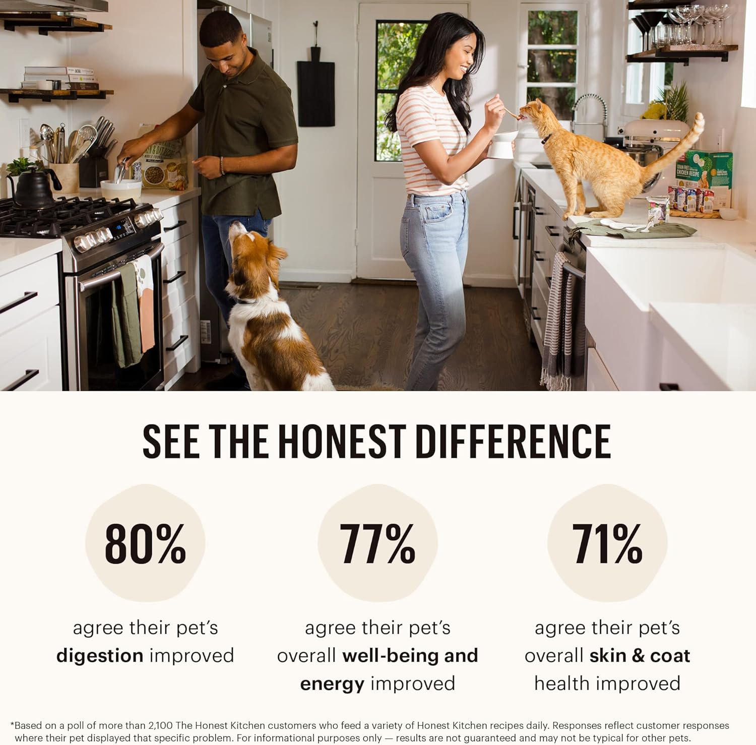 The Honest Kitchen Dehydrated Grain Free Chicken & Fish Cat Food, 4 lb Box11