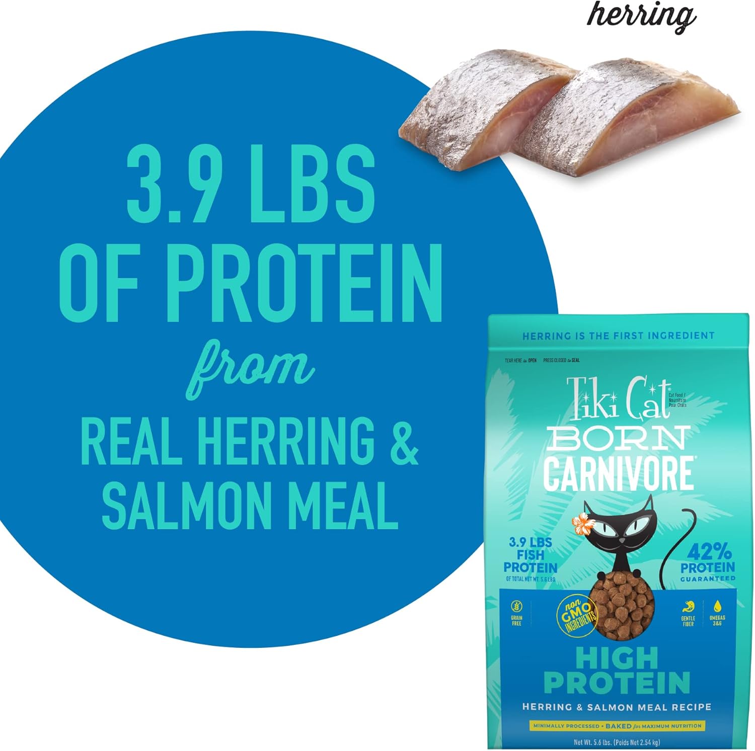 Tiki Cat Born Carnivore High Protein, Herring & Salmon Meal, Grain-Free Baked Kibble to Maximize Nutrients, Dry Cat Food, 5.6 lbs. Bag1