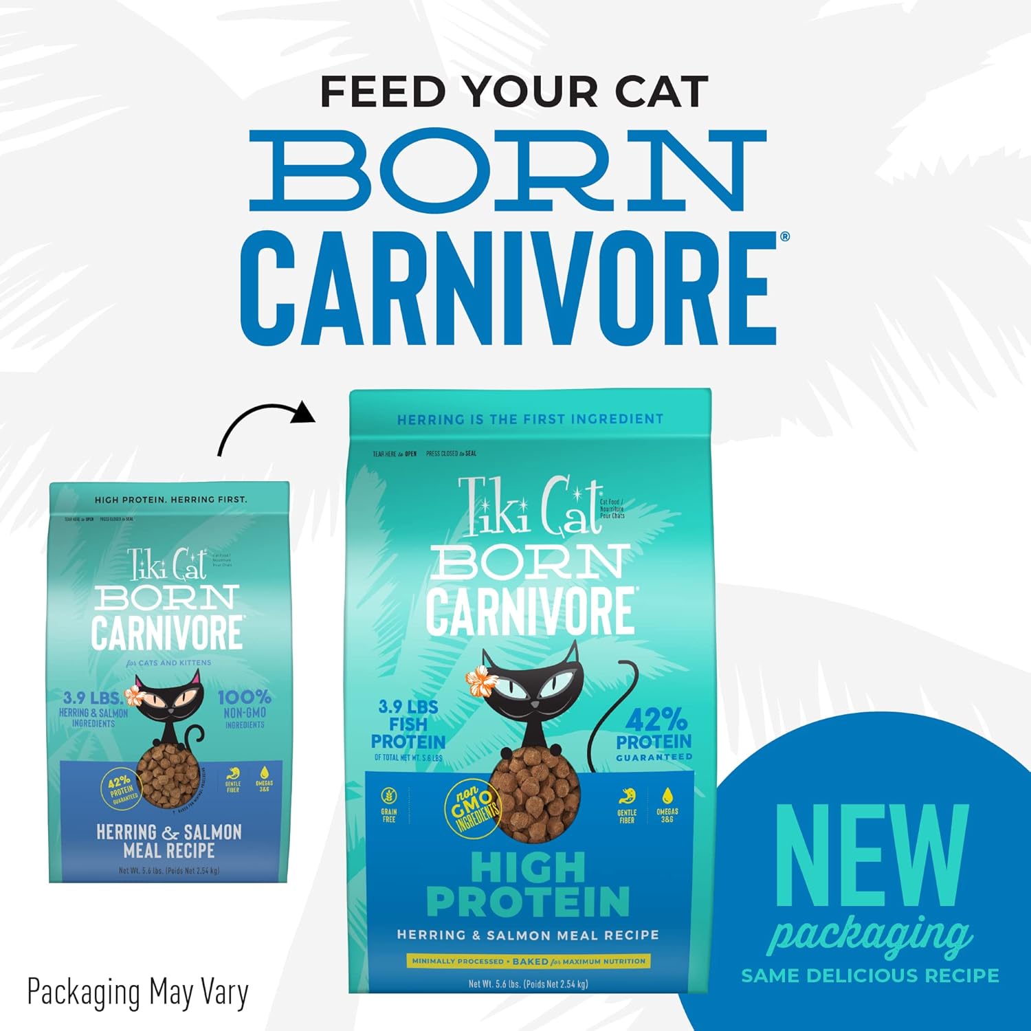 Tiki Cat Born Carnivore High Protein, Herring & Salmon Meal, Grain-Free Baked Kibble to Maximize Nutrients, Dry Cat Food, 5.6 lbs. Bag2