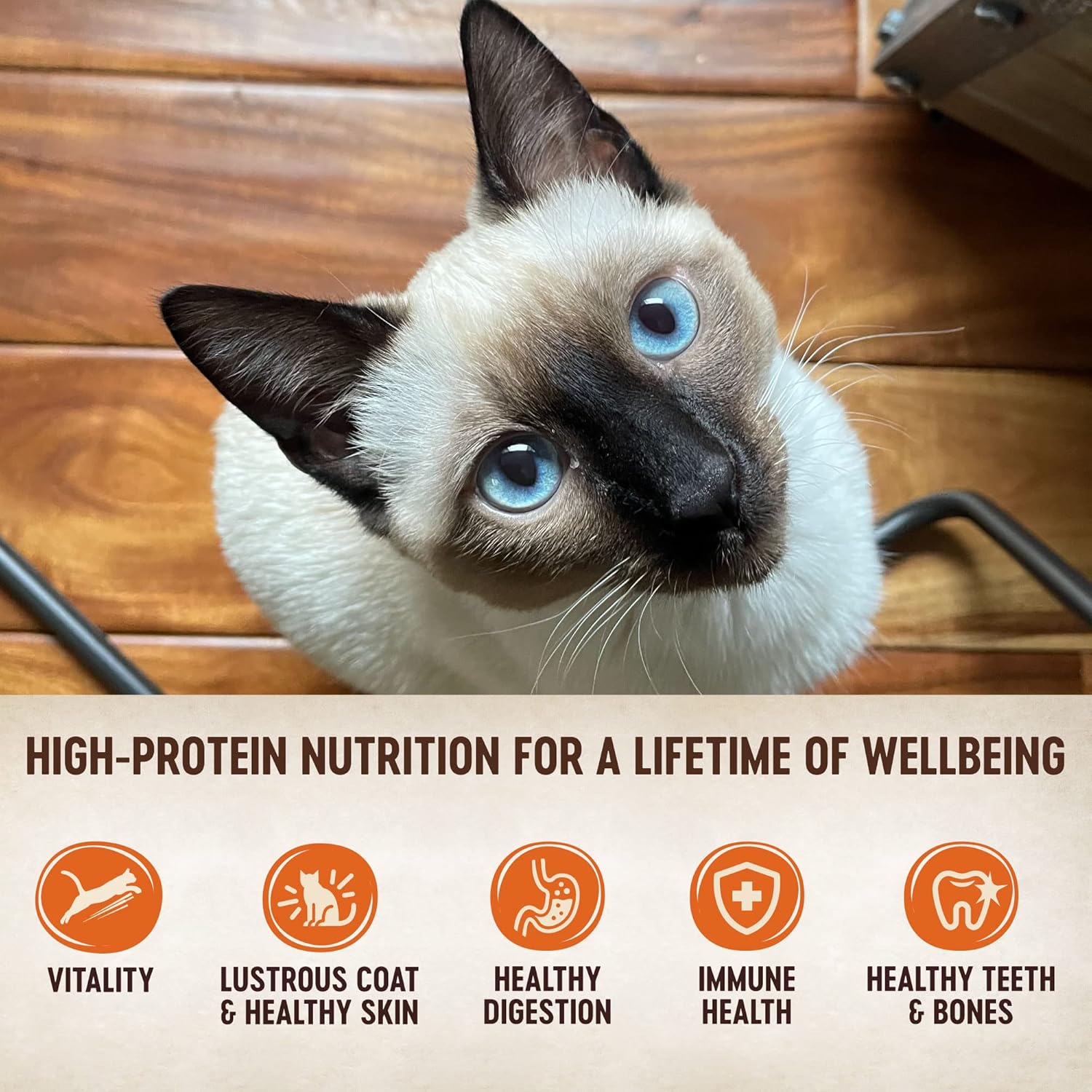 Wellness CORE Grain-Free Signature Selects Wet Cat Food, Natural Pet Food Made with Real Meat (Shredded Chicken & Chicken Liver, 5.3 Ounces, Pack of 12)3