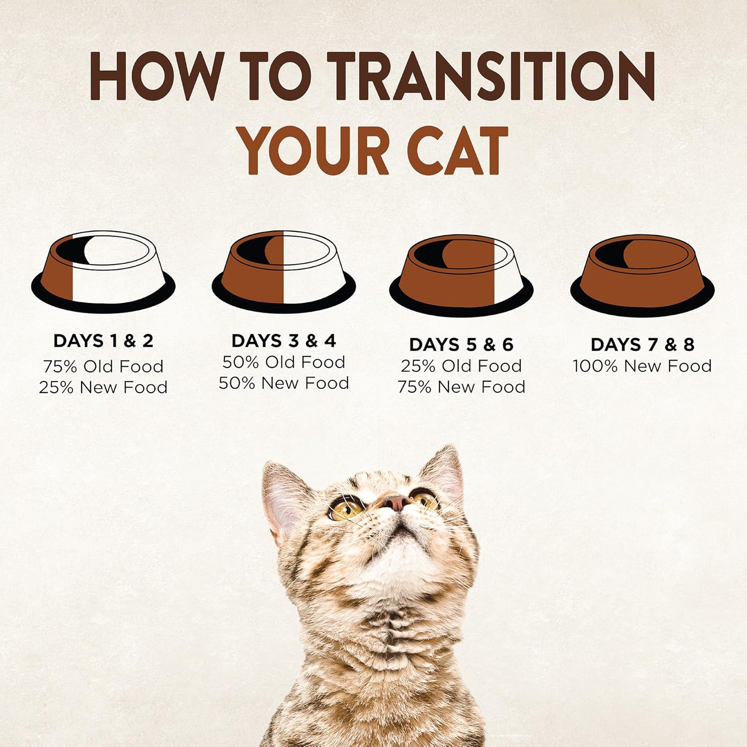 Wellness CORE Grain-Free Signature Selects Wet Cat Food, Natural Pet Food Made with Real Meat (Shredded Chicken & Turkey, 5.3 Ounces, Pack of 12)12