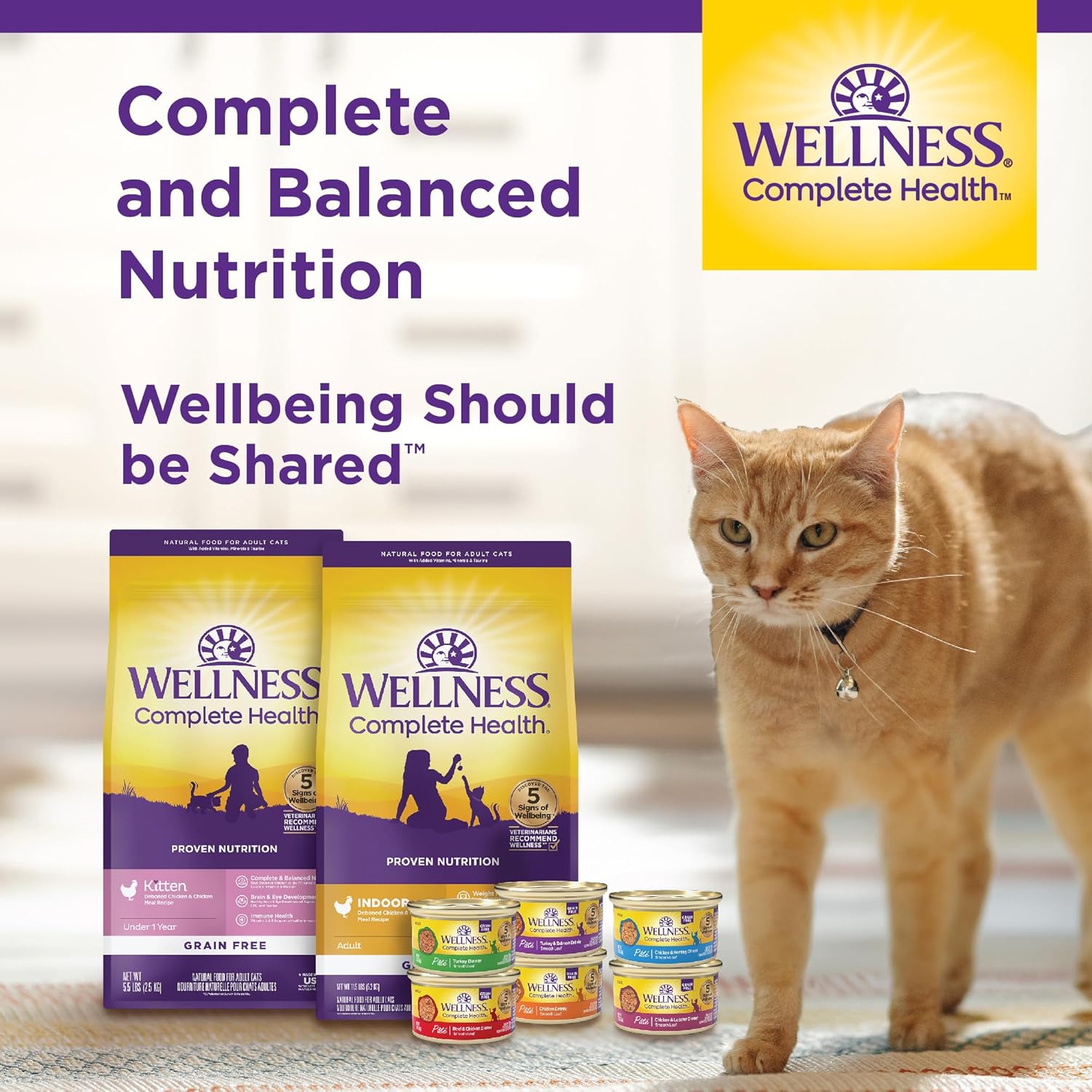 Wellness Complete Health Chicken & Turkey Pate Favorites Variety Pack, 3 Ounces (Pack of 24)11