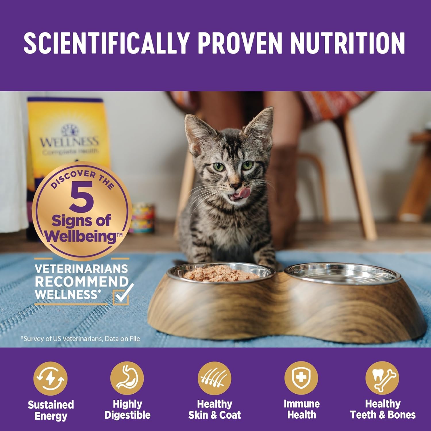 Wellness Complete Health Chicken & Turkey Pate Favorites Variety Pack, 3 Ounces (Pack of 24)7