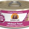 Weruva Classic Cat Food, Mideast Feast with Grilled Tilapia in Gravy, 5.5oz Can (Pack of 24)