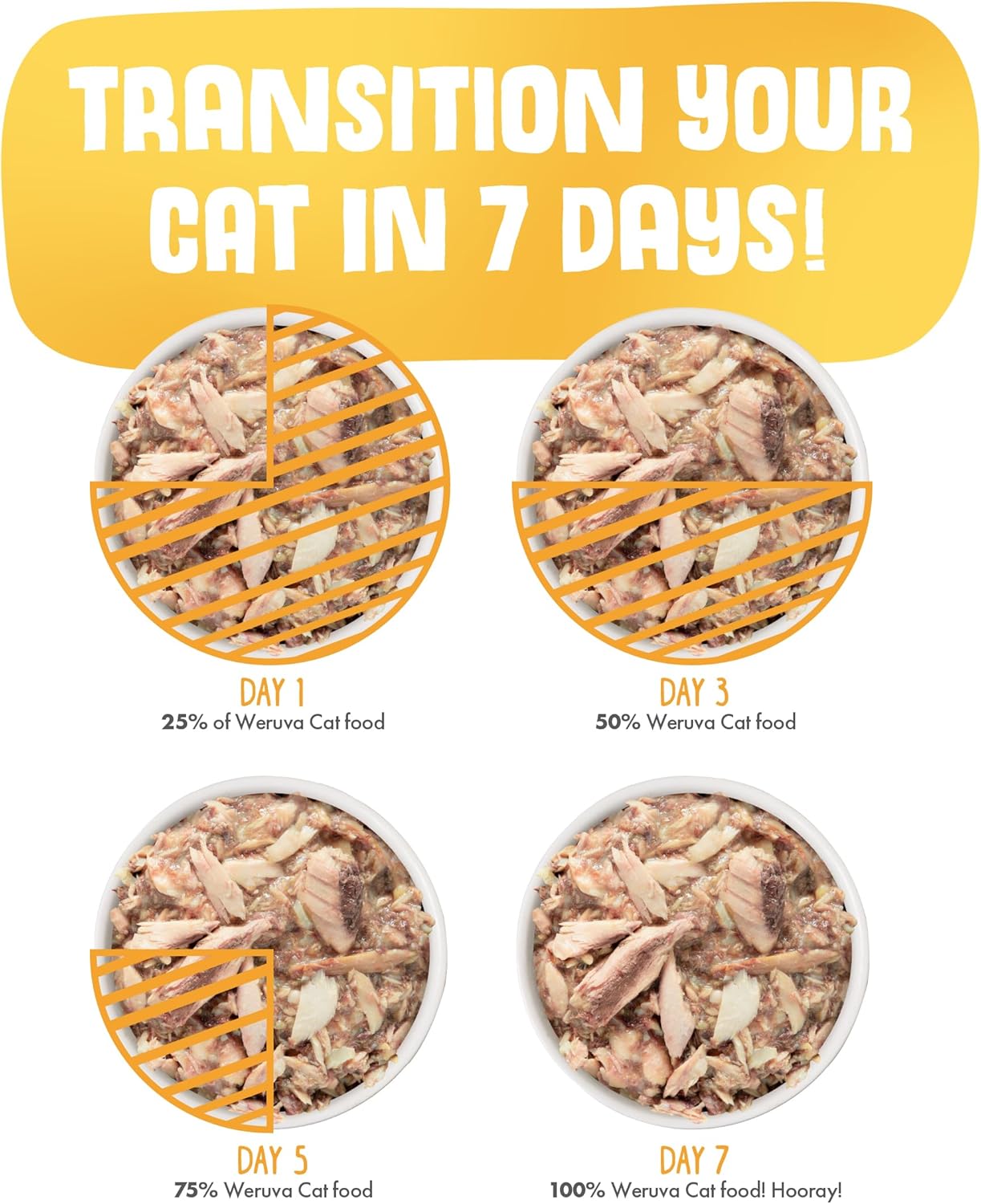 Weruva Classic Cat Food, Mideast Feast with Grilled Tilapia in Gravy, 5.5oz Can (Pack of 24)12