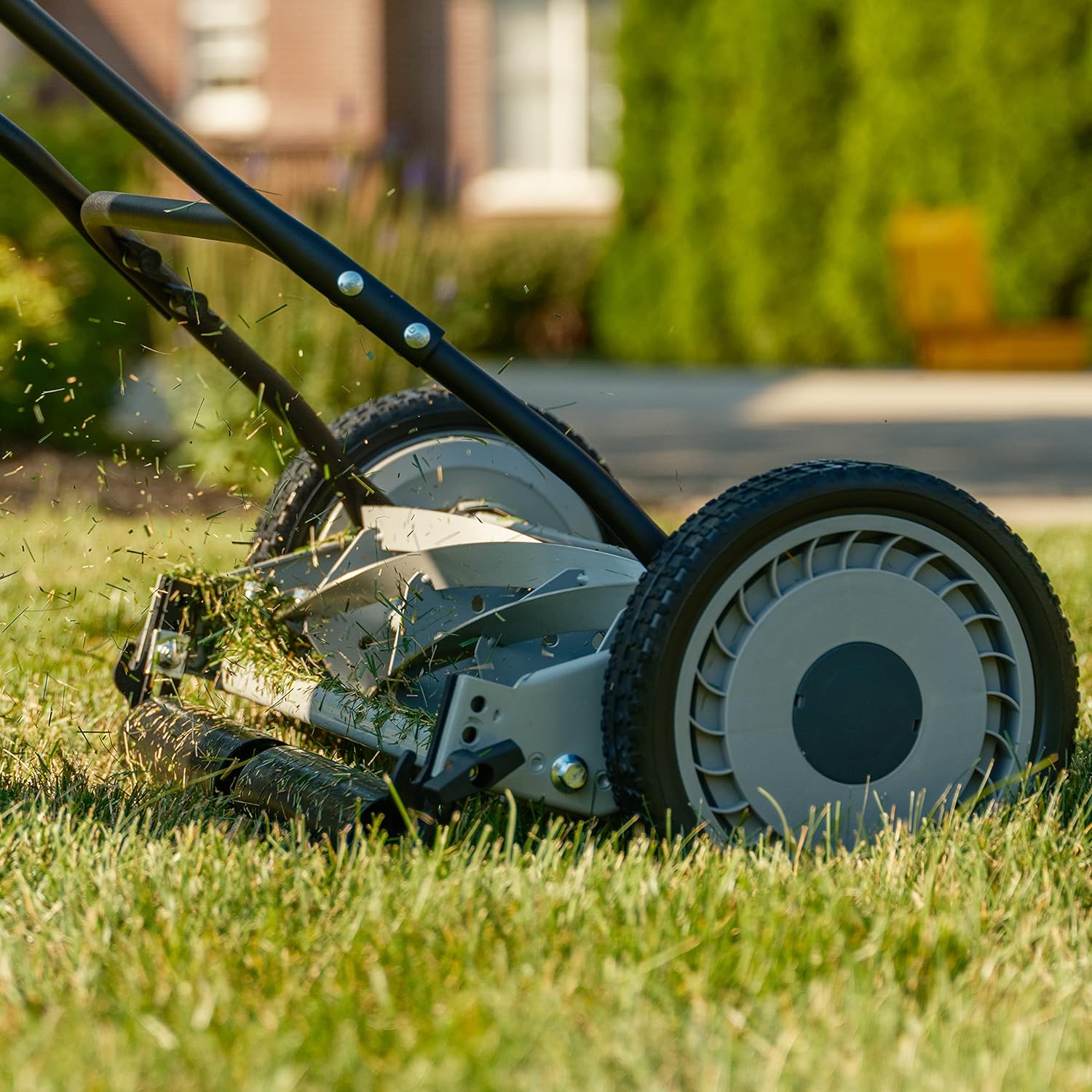 American Lawn Mower Company 1815-18 18-Inch 5-Blade Reel Lawn Mower0