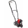 CRAFTSMAN CMXGKAME3079 E410 1.75-Inches Gas Lawn Edger