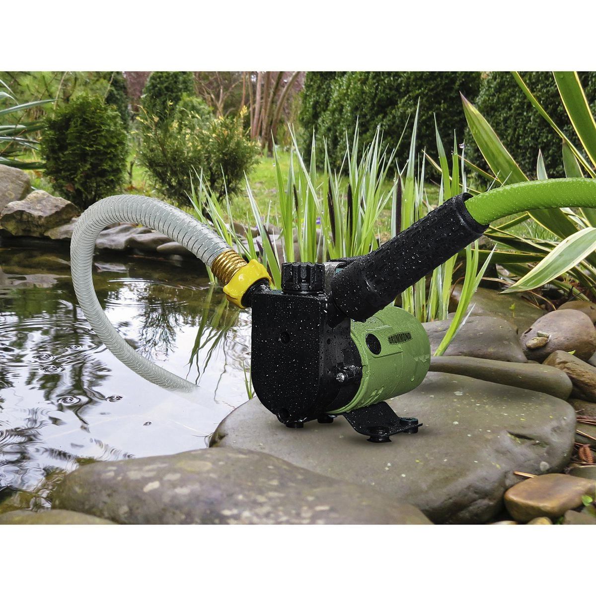 DRUMMOND 1 8 HP Non-Submersible Super Mini Transfer Pump, 450 GPH6