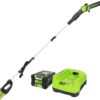 Greenworks 80V 10" Cordless Polesaw (Great For Pruning and Trimming Branches / 75+ Compatible Tools), 2.0Ah Battery and Charger Included